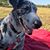 Charl Boyd's profile image