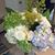 Annie Groccia's profile image