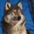 Debi Gray's profile image