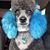 Debbie Cunningham's profile image