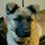 Kelly Molandes Facteau's profile image