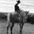 Dave O'Connell's profile image