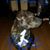 Tim Krantz's profile image