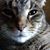 Stacie Evans's profile image