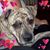 Joan Ventrelli's profile image