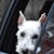 Karen Palm Nielsen's profile image