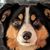 Jeanne Kerstiens's profile image