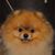 Judy Green's profile image