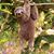 Virginio Garcia's profile image
