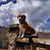 Kristen Frueh Leyba's profile image