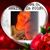 Deborah Zeidane's profile image