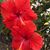 Nancy Lira Wingertsahn's profile image
