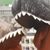 Chris Winkelman's profile image