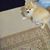 Terry Haley's profile image