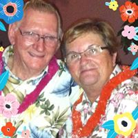 Ann Bird's profile image