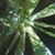 Lance K Burkholder's profile image