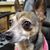 Cynthia Elaine Hall-Kidder's profile image
