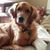 Sharon Eathel Cotten's profile image