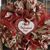 Renee Lambert McAndrew's profile image