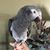 Cretia Crowe Ridderikhoff's profile image