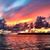 Suria Botha's profile image