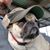 Philip Willard Jr's profile image