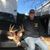 Rick DeMoss's profile image