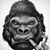 Matt Pettijohn's profile image