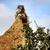 Christine Fournier's profile image