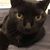 Dave Greway's profile image