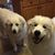 Jim Troche's profile image