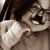 Deni Todd's profile image