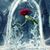 Shirrie Brown's profile image