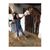 Lizeth Gerardo's profile image