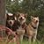 Melissa L. Baker's profile image