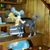 Lisa Bayne's profile image