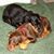 Lyn Kargaard's profile image