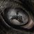 Larry Dale Newton's profile image