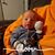 Vicky Hackney Sizemore's profile image