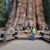 Betty Huffman's profile image