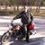Brian Levack's profile image