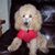 Arthur J Louhoff's profile image