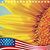 Judy Smith's profile image