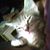 Dawn Fronterotta's profile image