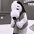 Tim Howley's profile image