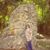 Nildaelena Elena Benitez's profile image