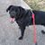 Debra Mckee Smith's profile image