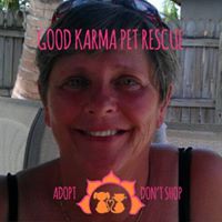Vicki Cleghorn Baker's profile image