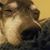 Amanda Armer's profile image
