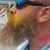 Chris Goldsberry's profile image
